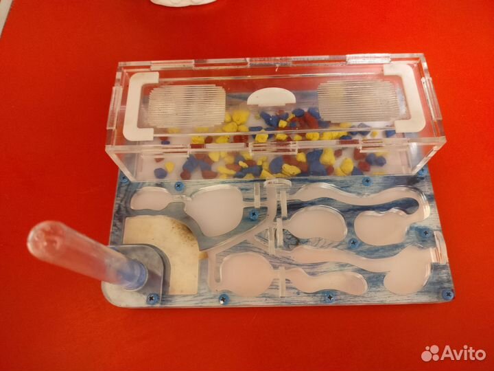 Формикарии - муравьиная ферма