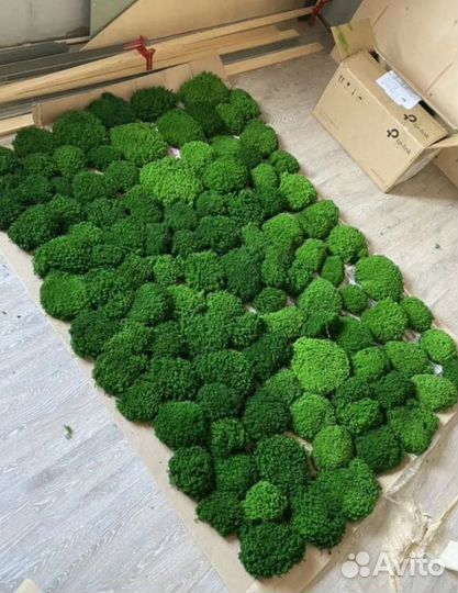 Натуральный стабилизированный мох для декора