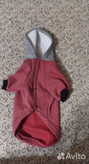 Одежда для собак