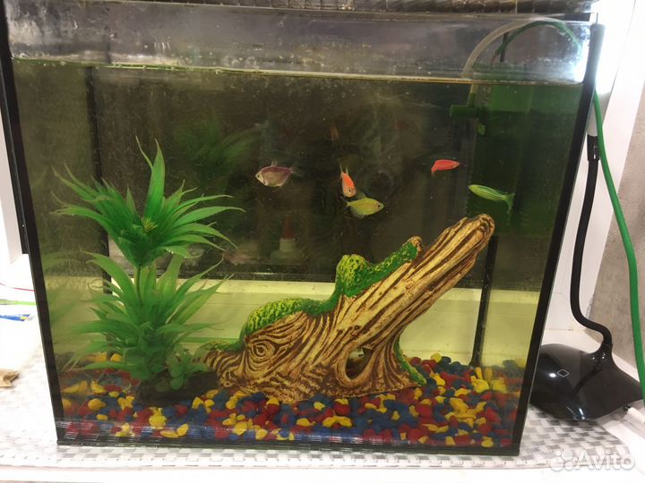 Аквариум