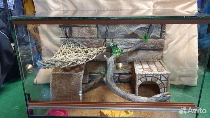 Террариум для пауков, эублефаров, агам