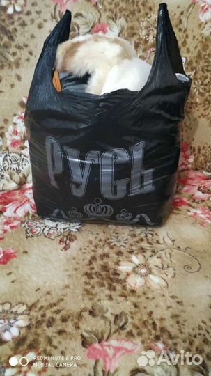 Детские вещи