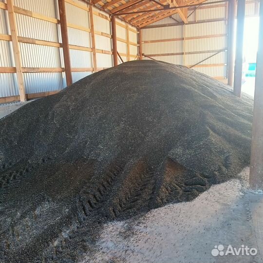 Подсолнечник