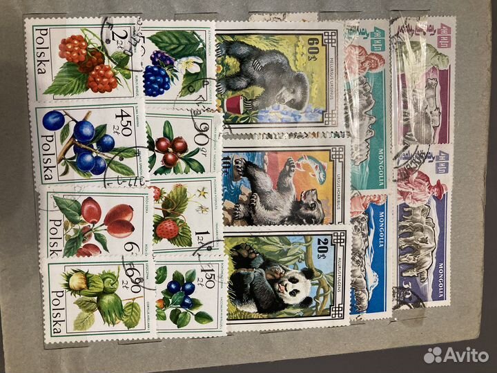 Марки. Животный и растительный мир