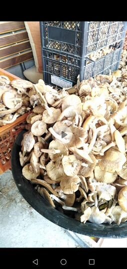 Дача 70 м² на участке 10 сот.