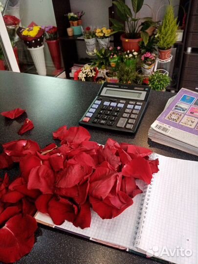 Лепестки роз на свадьбу, романтическое мероприятие