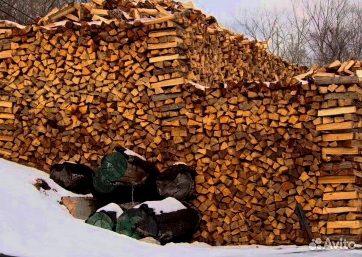 Дрова без плесени