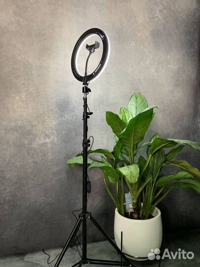 Кольцевая лампа 26 см + штатив