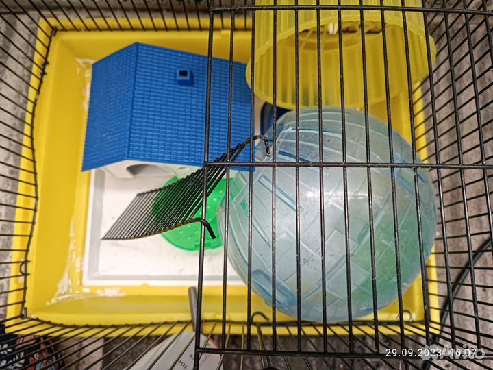 Клетка для хомяка