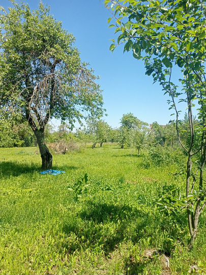 Дом 106,9 м² на участке 19 сот.