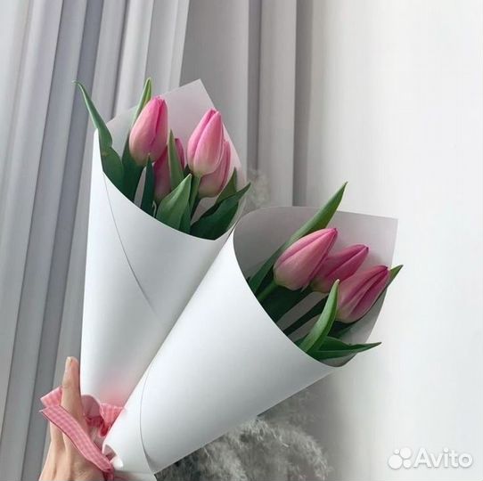 Тюльпаны розовые