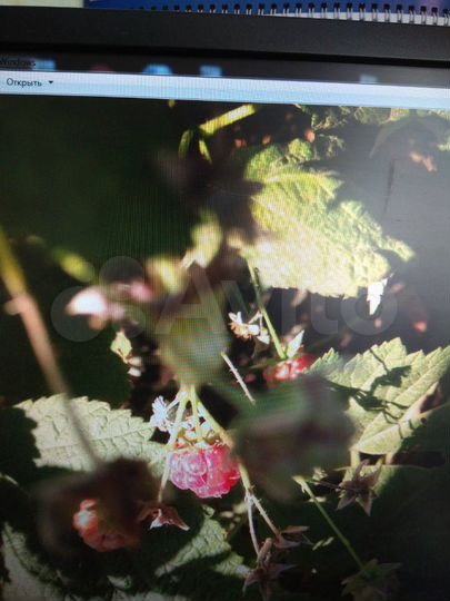 Дача 20 м² на участке 6 сот.