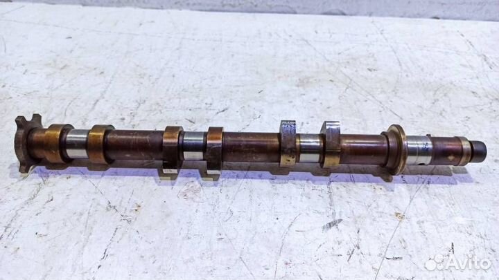 Распредвал впускной Ягуар