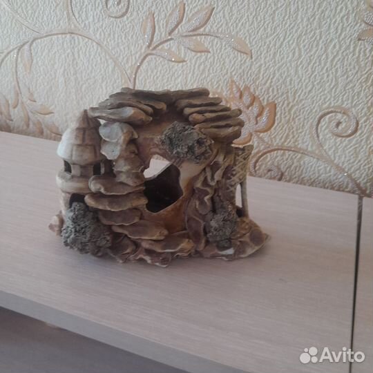 Для аквариума