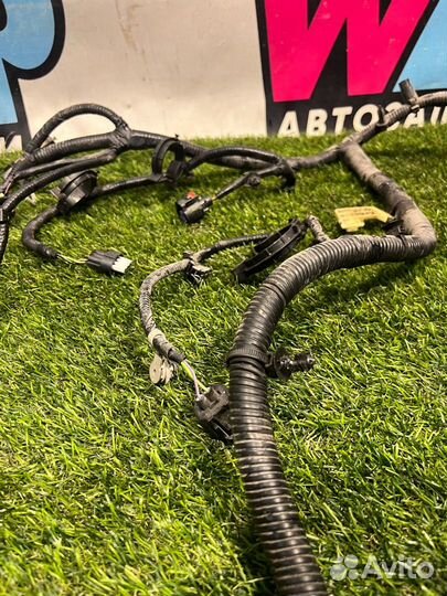 Проводка подкапотная Ford Escape 4 CX482 2021