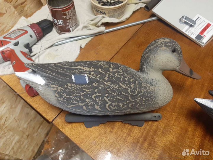 Подсодная утка