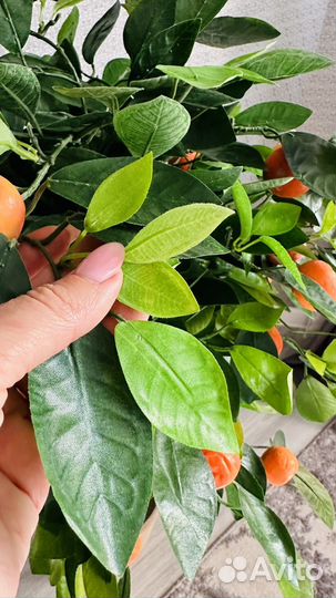 Мандариновое дерево/искусственные деревья