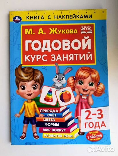 Годовой курс занятий 2-3 Жукова