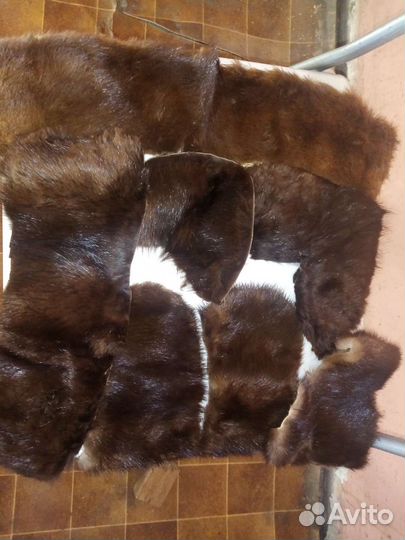 Мех норка, андатра