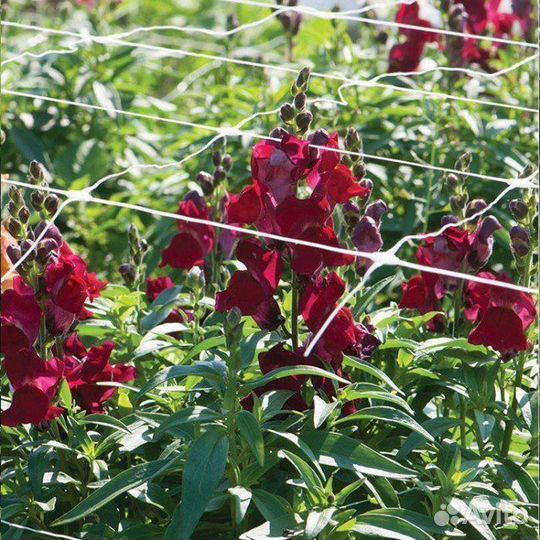 Сетка поддерживающая