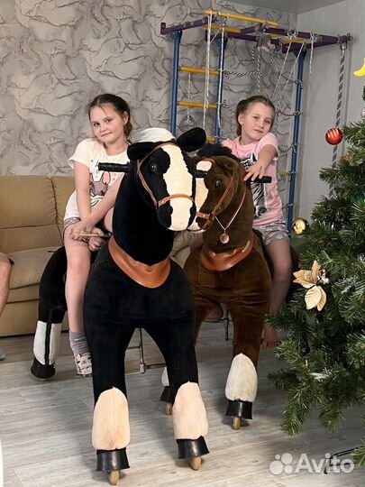 Лошадка поницикл