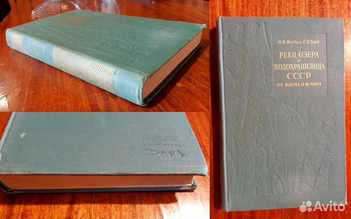 Реки Озера и Водохранилища СССР Их фауна и флора
