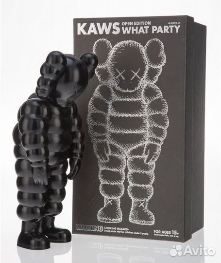 Kaws What Party black