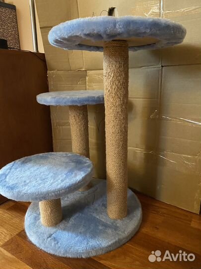 Когтеточка