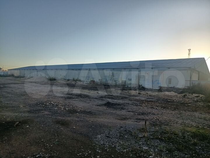 Свободного назначения