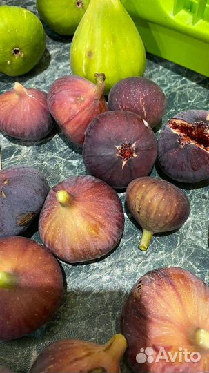Инжир свежий