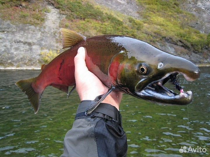 Рыбалка с гидом на реке большая