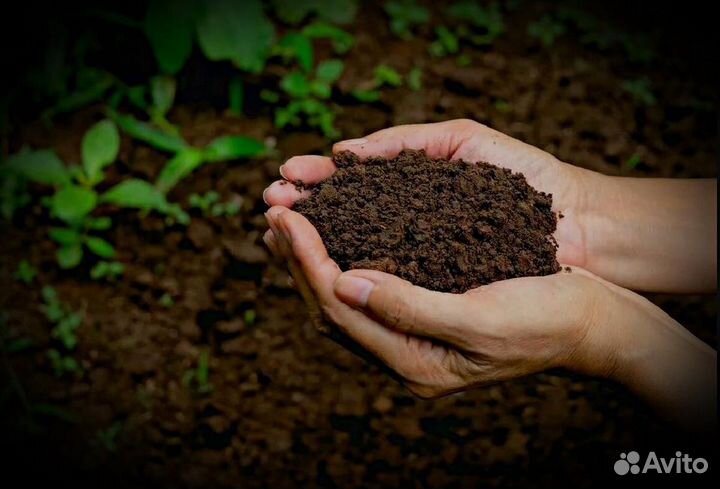 Торф с доставкой
