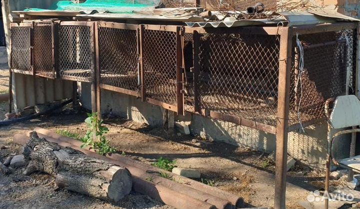 Железные клетки для нутрий, кроликов, птицы