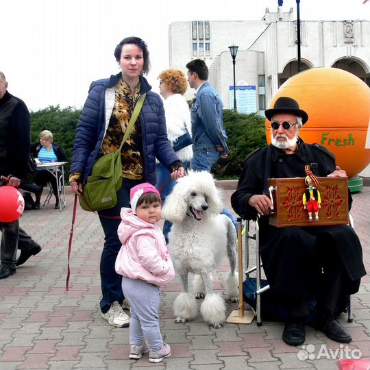 Шарманка электронная