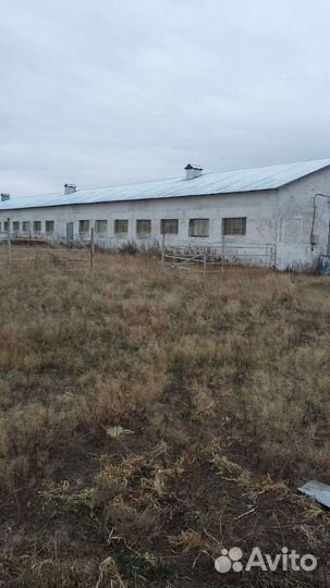 Сельхозпредриятие