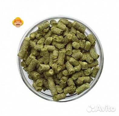 Хмель Нортен Бревер