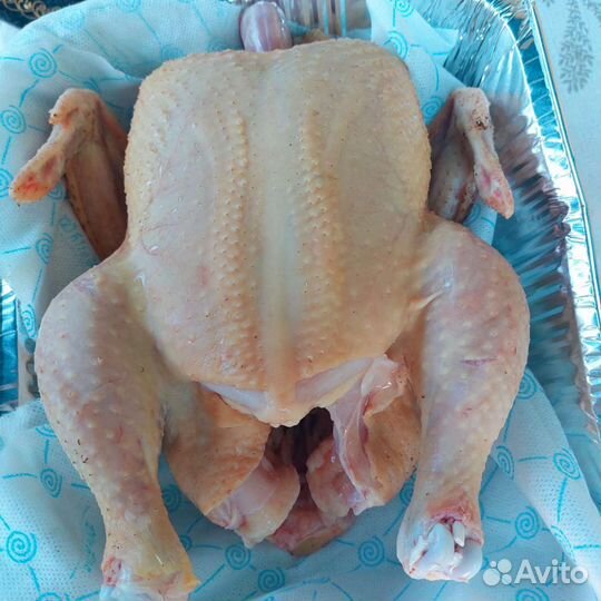 Мясо бройлера