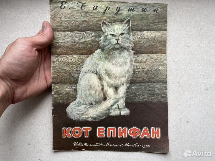 1985 год кот епифан