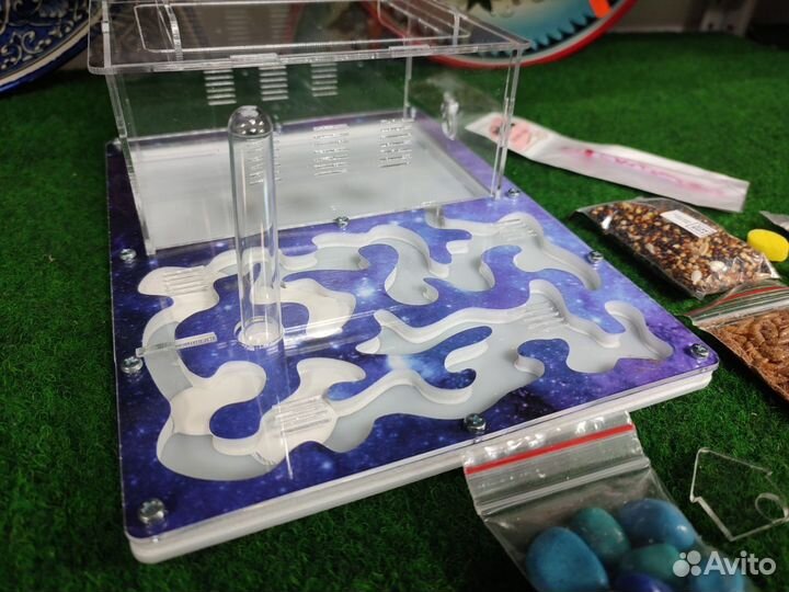 Муравьинная ферма