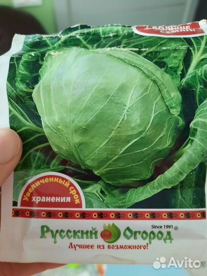 Рассада капуста ранняя