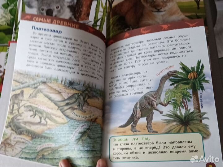 Книги для дошкольников