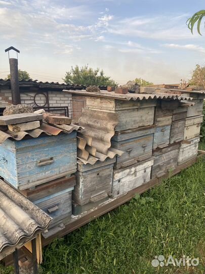 Улей для пчел