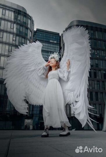 Крылья ангела. Прокат