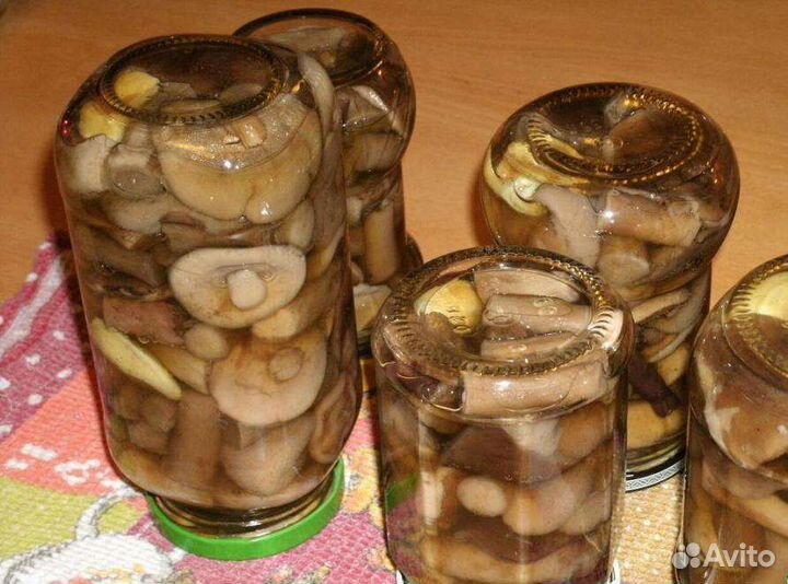 Грибы грузди соленые