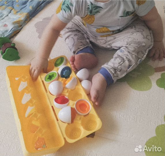 Сортер яйца