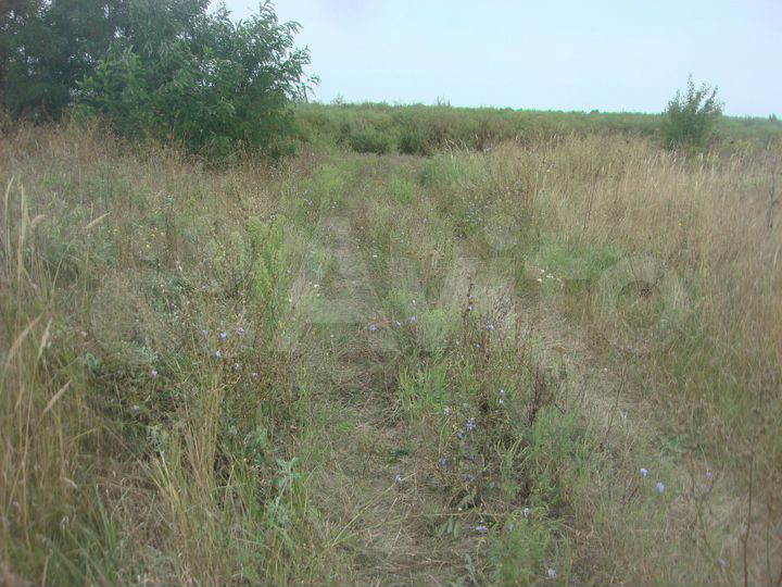 Участок 10 сот. (СНТ, ДНП)