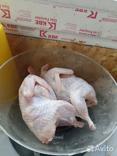 Мясо перепелов