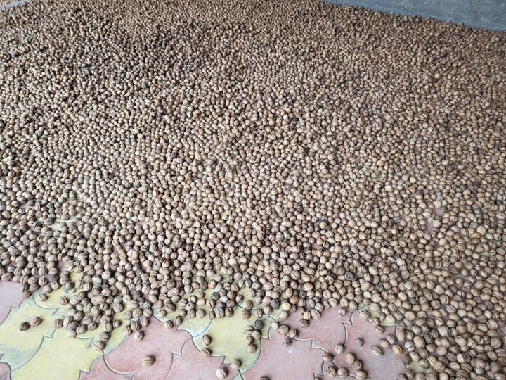 Участок 7 га (СНТ, ДНП)