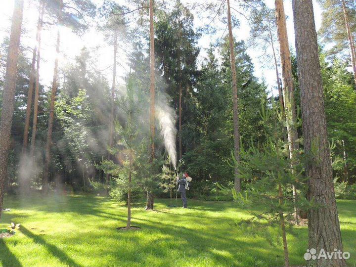 Обработка участка от Клещей, Короеда, Комаров