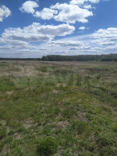 Участок 10 сот. (ИЖС)